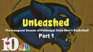 Video post by @wbir10 on YouTube