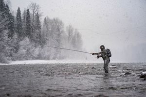 Image post by @chinookseedery on Instagram