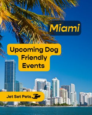 Image post by @jetsetpets on Instagram