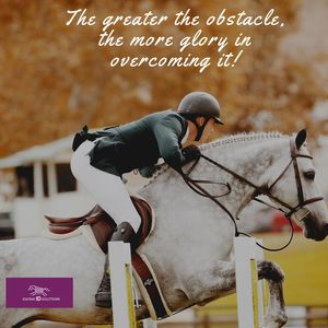 Image post by @equineidsolutions on Instagram
