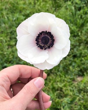Image post by @thebloombartx on Instagram
