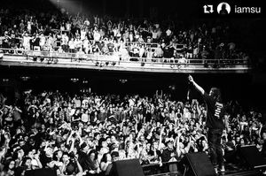 Image post by @thewarfield on Instagram