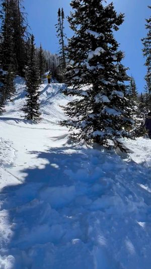 Video post by @jskis on Facebook