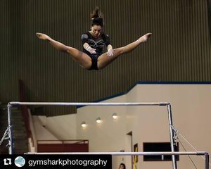 Image post by @beavergym on Instagram