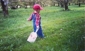 Image post by @kidsgardening on Instagram