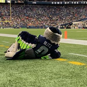 Image post by @blitztheseahawk on Instagram