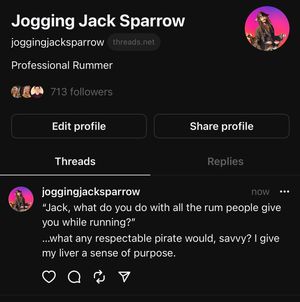 Image post by @joggingjacksparrow on Instagram