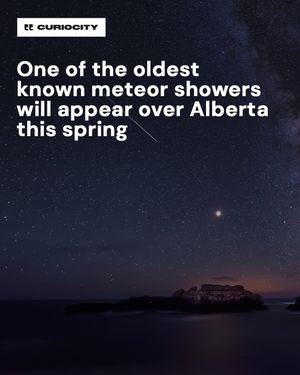 Image post by @curiocitycalgary on Instagram