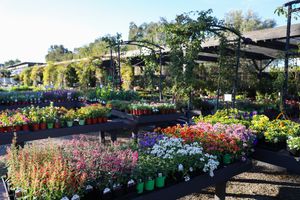 Image post by @rogersgardens on Instagram