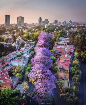 Image post by @dronepals on Instagram