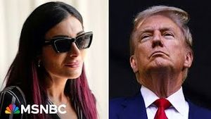 Video post by @msnbc on YouTube