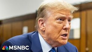 Video post by @msnbc on YouTube