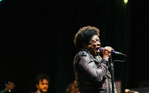 Image post by @treefortfest on Instagram