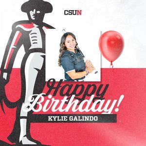 Image post by @csunsoftball on Instagram