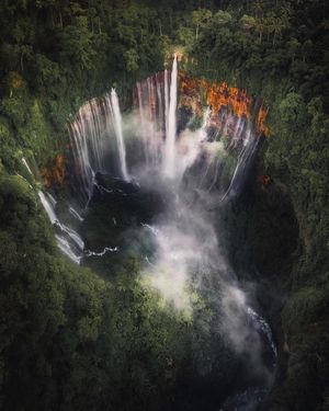 Image post by @discovery on Instagram