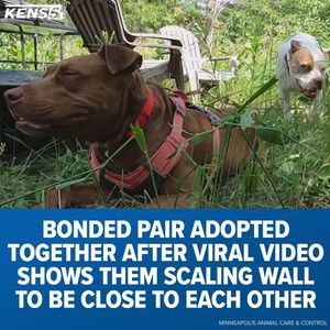 Image post by @kens5 on Instagram