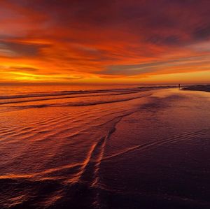 Image post by @visitsarasotacounty on Instagram