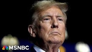 Video post by @msnbc on YouTube