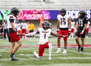 Image post by @niuhuskies on Instagram