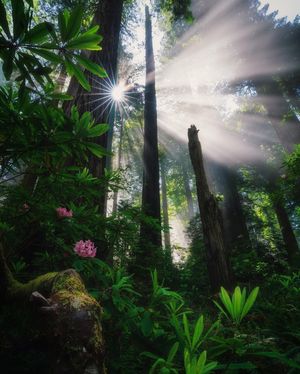 Image post by @nationalparkspartnership on Instagram