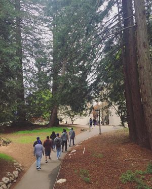 Image post by @ucsc on Instagram