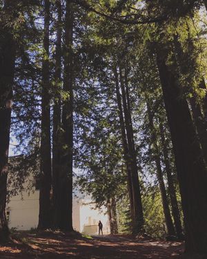 Image post by @ucsc on Instagram