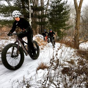 Image post by @bikerumor on Instagram