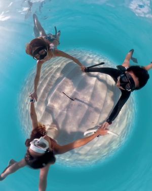 Image post by @insta360 on Instagram