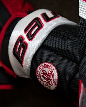 Image post by @purehockey on Instagram