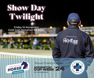 Image post by @nzhorseambulancetrust on Facebook