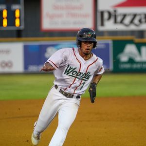 Image post by @gowoodducks on Instagram