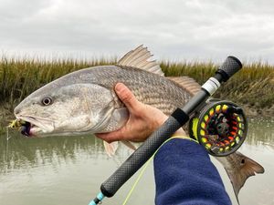 Image post by @toadfishoutfitters on Instagram