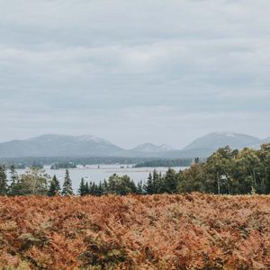 Image post by @themainemag on Instagram