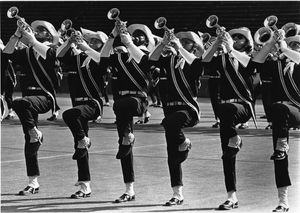 Image post by @madisonscouts on Instagram