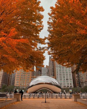Image post by @exploreschicago on Instagram