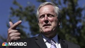 Video post by @msnbc on YouTube