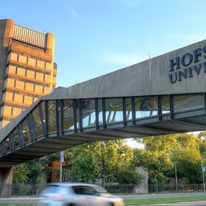 Image post by @hofstrau on Instagram