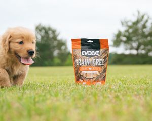 Image post by @evolvepetfood on Instagram