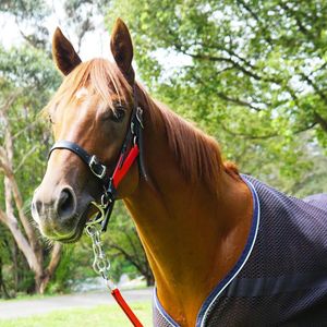 Image post by @australianturfclub on Instagram