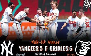 Image post by @birdland_baseball on Instagram