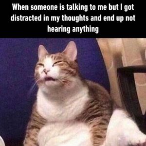 Image post by @9gag on Instagram