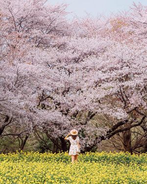 Image post by @cathaypacific on Instagram