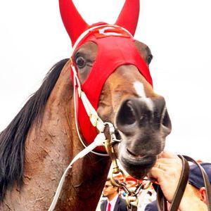 Image post by @australianturfclub on Instagram