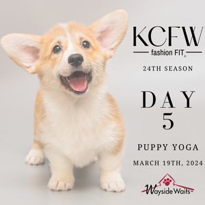Image post by @kc_fashionweek on Instagram