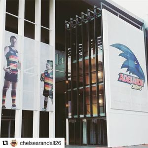 Image post by @adelaide_fc on Instagram