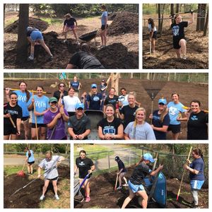 Image post by @uncsoftball on Instagram