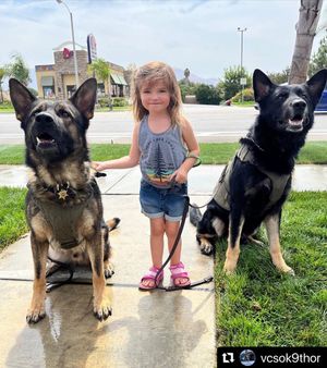 Image post by @vcsheriff on Instagram
