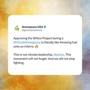Image post by @greenpeaceusa on Instagram