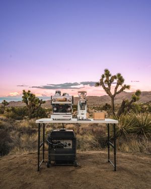 Image post by @lamarzoccohome on Instagram
