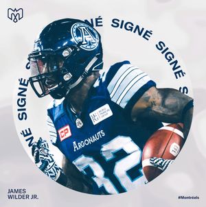 Image post by @mtlalouettes on Instagram